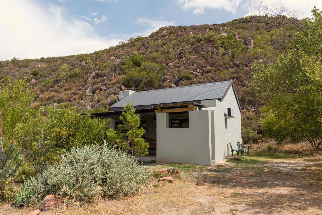 Вилла Cederkloof Botanical Retreat Ситрусдал Экстерьер фото