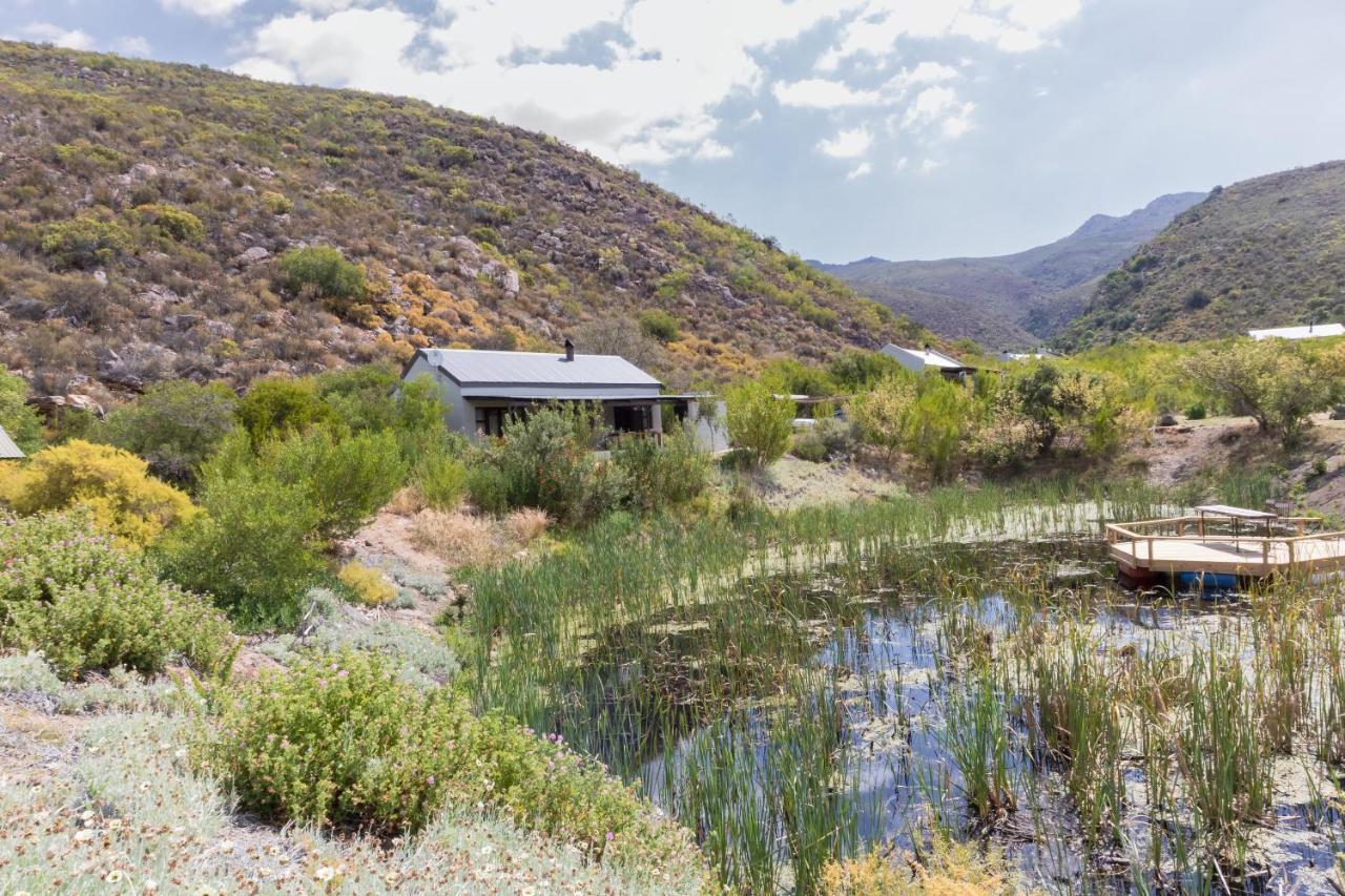 Вилла Cederkloof Botanical Retreat Ситрусдал Экстерьер фото