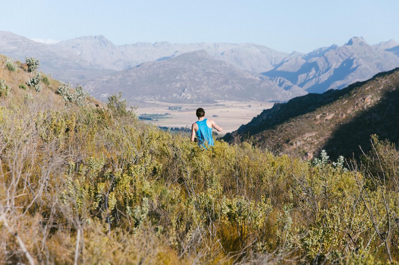 Вилла Cederkloof Botanical Retreat Ситрусдал Экстерьер фото